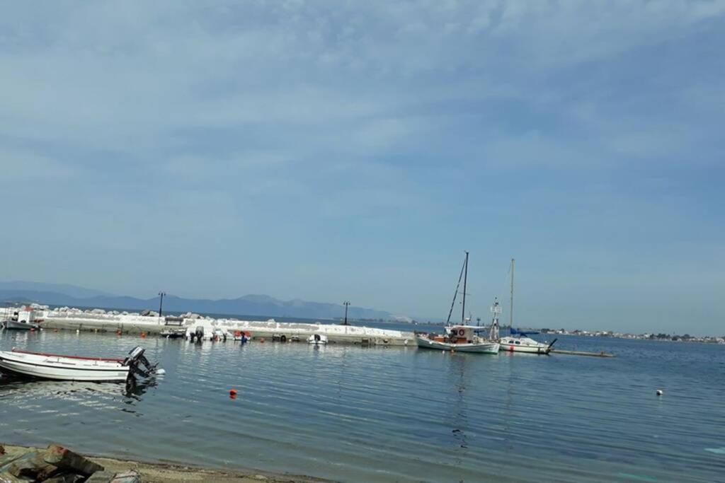 Amazing Sea View-Neos Pyrgos Beach -Evoia Greece Neos Pirgos Exterior photo